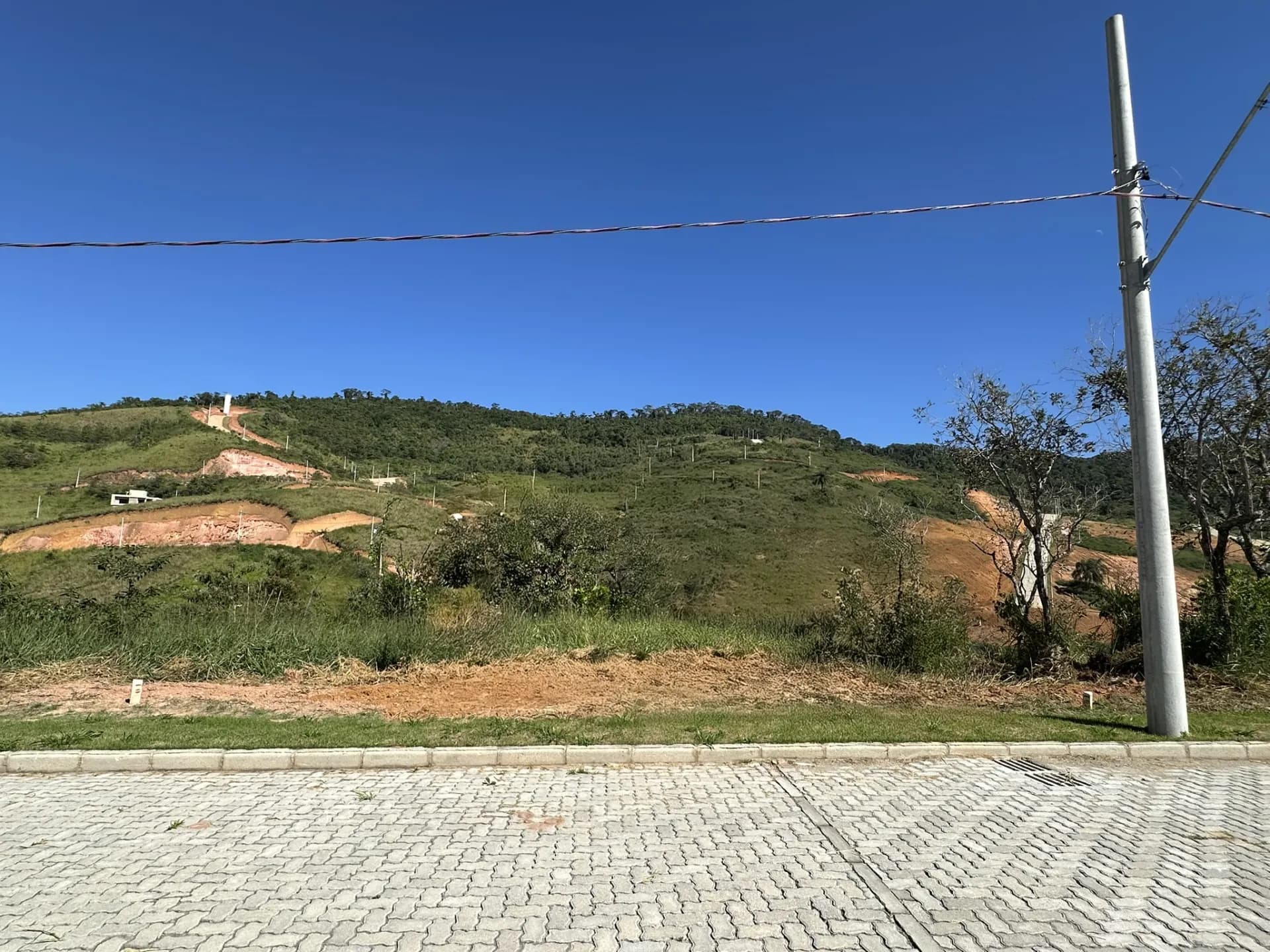 Lote 10